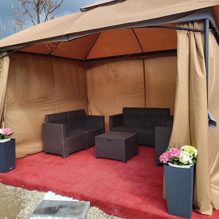 萨图马雷Vila Ana Cu Terasa Gratar Si Jacuzzi别墅 外观 照片